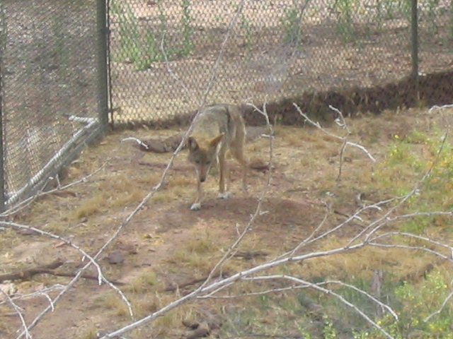 618x457 pixels (200K)